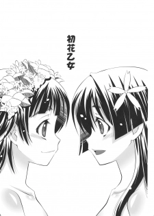 (C77) [B-CREWS (Shidou Mayuru)] Hatsuhana Otome (Toaru Kagaku no Railgun) - page 2