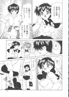 [Gyakushuu Takeshi] Maid-tachi no Nichijou - page 25