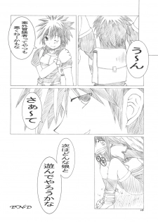 (SC30) [Shoojoheisakuukan (Hyooya Kookai)] Mischief (Ragnarok Online) - page 15