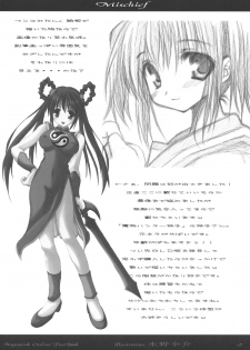 (SC30) [Shoojoheisakuukan (Hyooya Kookai)] Mischief (Ragnarok Online) - page 17