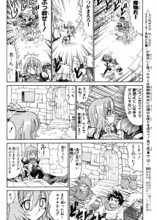 Summon Night Ex-Thesis ~Yoake no Tsubasa~ - page 25
