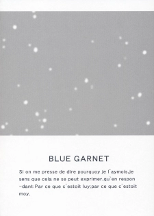 (C66) [BLUE GARNET (Serizawa Katsumi)] BLUE GARNET XVII (Fate/stay night) - page 3