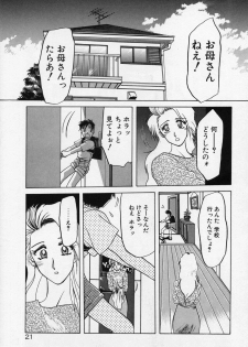 [Sanbun Kyoden] Kindan no Houteishiki - page 24