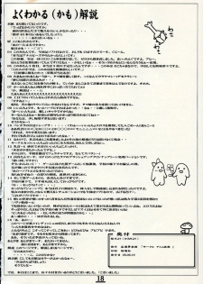 (SC28) [Alem-Gakan (Kirishima Satoshi)] Sakura Dayori (ToHeart2) - page 17