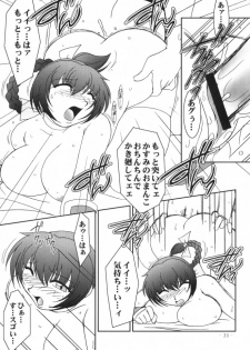 (C59) [KENIX (Ninnin!)] Hanagasumi (Dead or Alive) - page 34