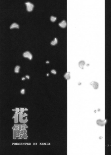 (C59) [KENIX (Ninnin!)] Hanagasumi (Dead or Alive) - page 2