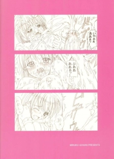 (C64) [Milk Gohan (Aita Nikov)] Chijoku Joukamachi 1 | Castle Town Of Shame [English] [SaHa] - page 25