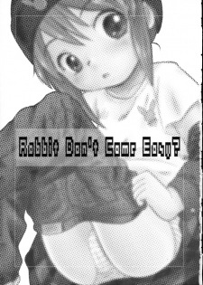 (SC24) [Studio Fatality (Yanagie)] Rabbit Don't Come Easy? (Gotcha Force) - page 2