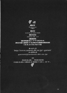 (C66) [GOLD RUSH (Suzuki Address)] Edition (Hana) (Gundam SEED) - page 33