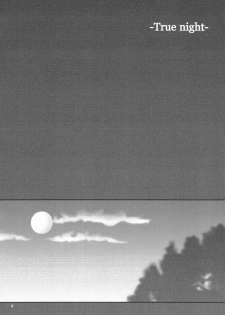 (Mimiket 10) [HAPPY WATER (Kizaki Yuuri)] -True night- (Fate/stay night) - page 3