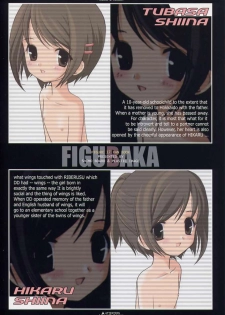 [Shimoboard, PLASTIC IMAGE (Shimosan, Shimamura Miwa)] Figubaka (FIGURE 17) - page 20