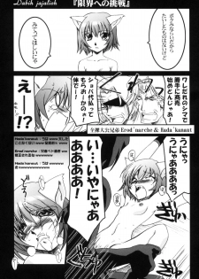 (CR34) [UA Daisakusen (Harada Shoutarou)] Ruridou Gahou CODE:21 (Final Fantasy XI) - page 4