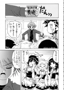 (C68) [Yukimi Honpo (Asano Yukino)] Kore ga Ore-sama no maid-tachi (Kore ga Watashi no Goshujin-sama | He Is My Master) - page 4