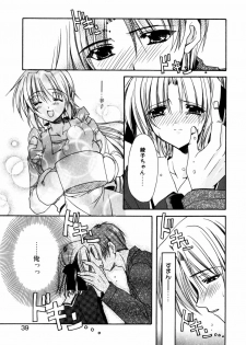 [Ryuga Syo] C no Kajitsu - page 43