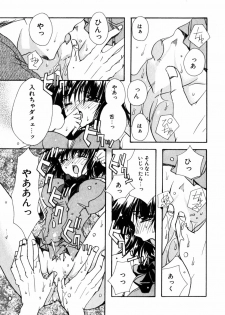 [Ryuga Syo] C no Kajitsu - page 27
