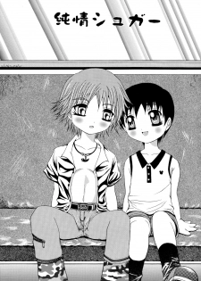[Meguro Linu] Junjou Sugar - page 5