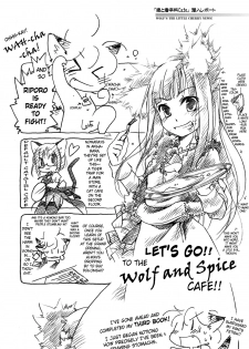 (COMIC1☆2) [Hina prin (Ikuta Takanon)] Ookami no Chotto H na Hanashi [Wolf and a Little Dirty Chat] (Ookami to Koushinryou [Spice and Wolf]) [English] ==Strange Companions== - page 10