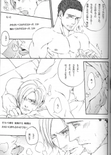 (C84) [clr, 12.5 (Akizou, Mizuki)] Answer (Resident Evil) - page 13