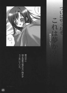 (C60) [PINK CHUCHU (Mikeou)] Dengeki Lolikko Paradise (Sister Princess) - page 24