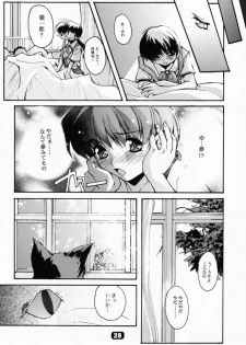 (CR29) [RYU-SEKI-DO (Nagare Hyo-go)] Geschwister II (Sister Princess) - page 27