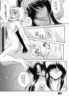 (CR29) [RYU-SEKI-DO (Nagare Hyo-go)] Geschwister II (Sister Princess) - page 9