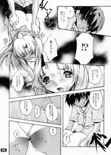 (CR29) [RYU-SEKI-DO (Nagare Hyo-go)] Geschwister II (Sister Princess) - page 24