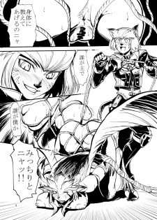 [Kuroshiki (Kurohiko)] Kuroshiki Vol. 3 (Final Fantasy XI) [Digital] - page 8