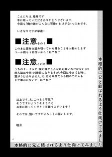 (C84) [Junk Box (Mutsuki)] Honkakuteki ni Ani to Musubareru you ni Shimukete Mimashita (Ore no Imouto ga Konna ni Kawaii Wake ga Nai) - page 3