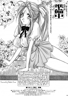 [LUCK&PLUCK!Co. (Amanomiya Haruka) Himitsu/Gentei Issatsu (Ah! My Goddess, You're Under Arrest) - page 25