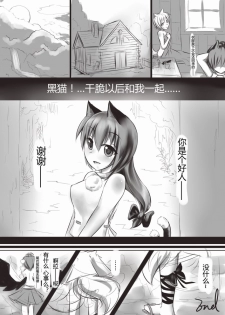 [463 Li] 白狼黑猫 (Touhou Project) - page 16