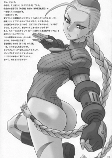 (C78) [Kaiten Sommelier (13.)] 24 Kaiten Shadow Rune (Street Fighter) - page 16