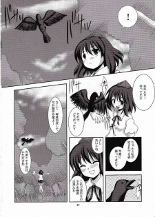 [Memoria (texirumu)] Doubutu Gyakutai!? (Touhou Project) - page 23