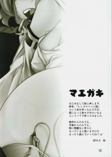 (Reitaisai 11) [Akikaze Asparagus (Aki)] Rental Pet Momiji 2 (Touhou Project) - page 12
