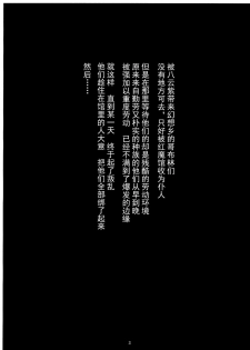 (C86) [Kaki no Tane (Summer)] Zettai ni Goblin Nanka ni Maketari Shinai! (Touhou Project) [Chinese] [CE家族社] - page 3