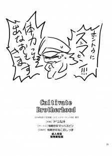 [Yuugengaisha Mach Spin (Drill Jill)] Cultivate Brotherhood (Street Fighter) [Digital] - page 15