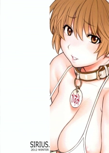 (C83) [SIRIUS. (Kiriyama Taichi)] Kasumi-chan to Nobetumakunashi 4 (Dead or Alive) - page 2