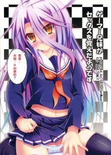 (C86) [Imitation Moon (Narumi Yuu)] Gamer Kyoudai ga Sex wo Oboeta You desu (No Game No Life) [Chinese] [脸肿汉化组] - page 2