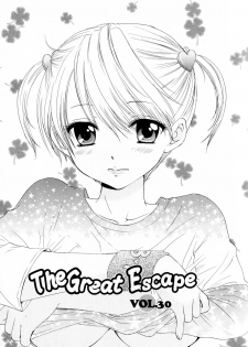 [Ozaki Miray] The Great Escape 4 Shokai Genteiban - page 5