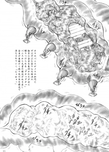 [Sumomo Dou (Sumomo EX)] Ikenie no Kakei - page 20