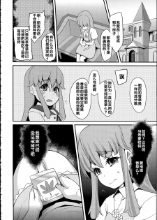 (C86) [Condiment wa Hachibunme (Maeshima Ryou)] Happiness experience (Happiness Charge Precure!) [Chinese] - page 35