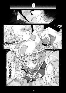 [YAMADA AIR BASE (Zawa)] Ran-sama Haiyoru Nanajouma (Touhou Project) - page 2