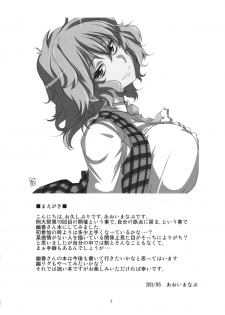 (Reitaisai 10) [BlueMage (Aoi Manabu)] Kodanezukuri Shimasho (Touhou Project) - page 4