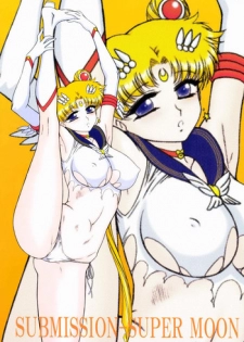(C84) [BLACK DOG (Kuroinu Juu)] SUBMISSION-SUPER MOON (Bishoujo Senshi Sailor Moon) [Chinese]