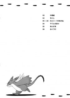 (SC34) [Kazeuma (Minami Star)] Milreaf no Anone (Summon Night 4) [Chinese] [脸肿汉化组] - page 4