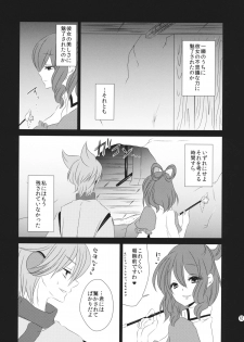 (Reitaisai 11) [Mimippu (Izumimipu)] Itoshii Hito no Kowashikata (Touhou Project) - page 13