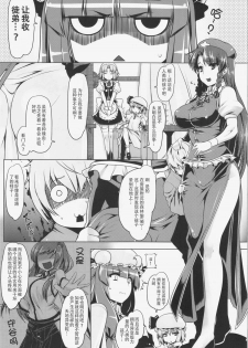 (Reitaisai 9) [Ruiketsuan (Namidame)] Koumon de Oshiete Patchouli (Touhou Project) [Chinese] [Loveless(ナナコ)汉化] - page 3