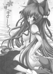(C76) [Action Mokei (Imaizumi Atsushi)] Tamashiro (Tayutama: Kiss on my Deity) - page 2
