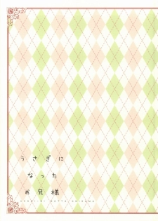 (SPARK7) [licca (Kashima)] Usagi ni Natta Oniisama (Ao no Exorcist) - page 27