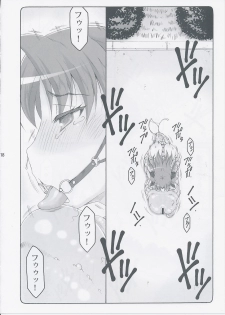 (C87) [Abarenbow Tengu (Izumi Yuujiro)] Kotori 11 (Fate/stay night) - page 17