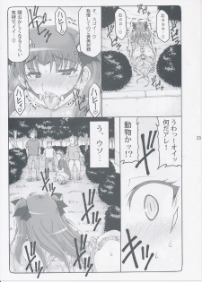 (C87) [Abarenbow Tengu (Izumi Yuujiro)] Kotori 11 (Fate/stay night) - page 22